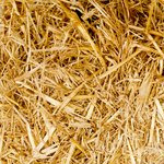 Jak se přihl&aacute;sit a hr&aacute;t na My Empire Casino: Podrobn&yacute; průvodce