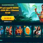 Spinanga-sovelluksen Asennus ja Bonuslaskelmat: Kattava Tekninen K&auml;sikirja