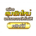 Plong&eacute;e Profonde dans Tortuga Casino en Ligne: Manuel Technique des Bonus et de la S&eacute;curit&eacute; &ndash; Guide Exhaustif